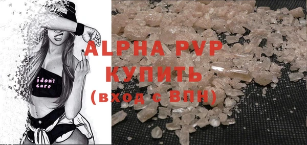 индика Сафоново