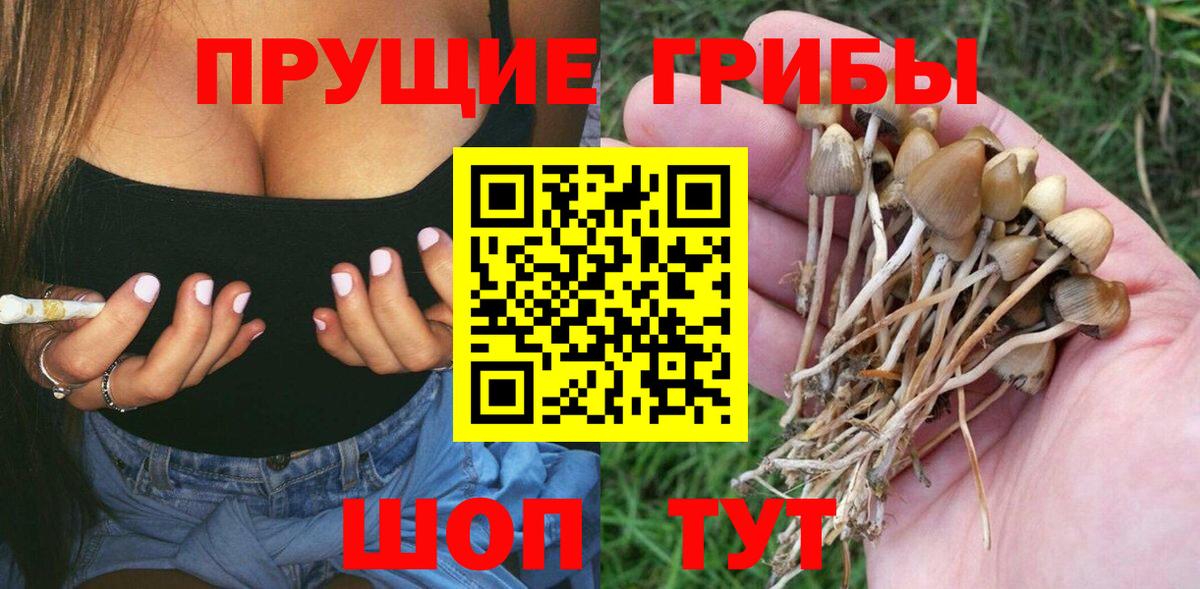Псилоцибиновые грибы ЛСД  Галлюциногенные грибы GOLDEN TEACHER  Вход с VPN  Аша 